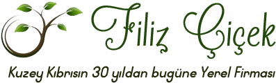 filizcicek.com