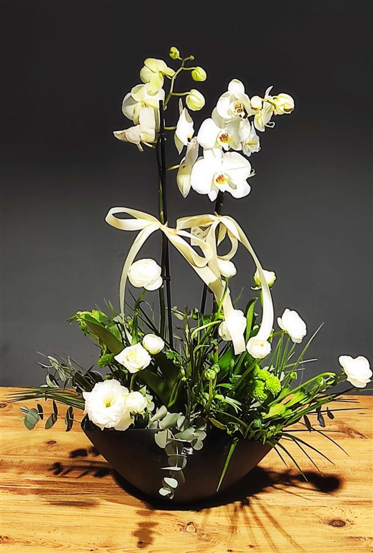 Cam saksıda Beyaz orkide saksılı ve canlı Piyoniler